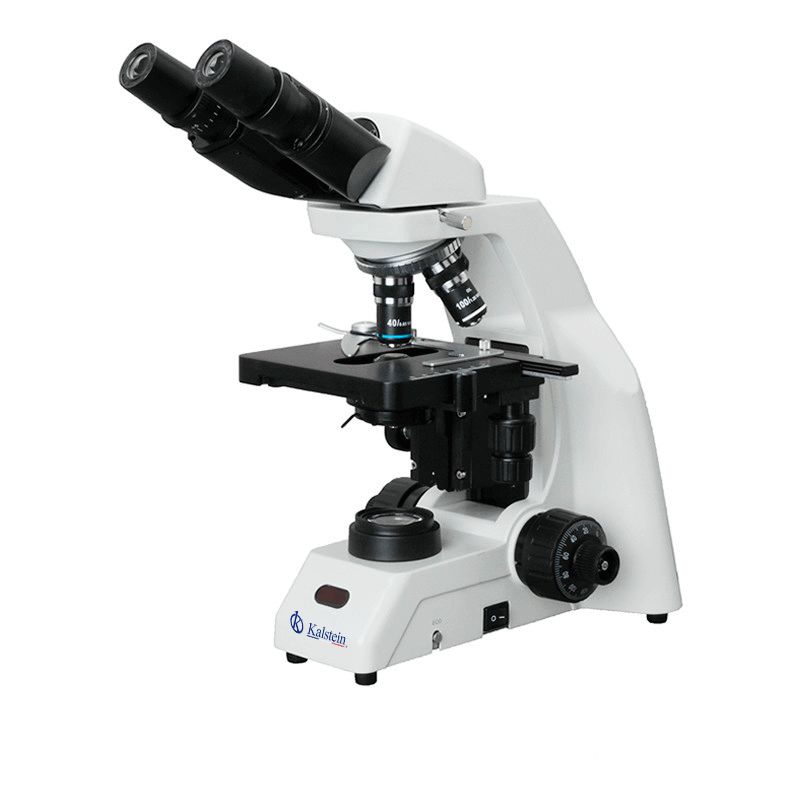 Glosario técnico y terminología clave del microscopio trinocular YR0240-1