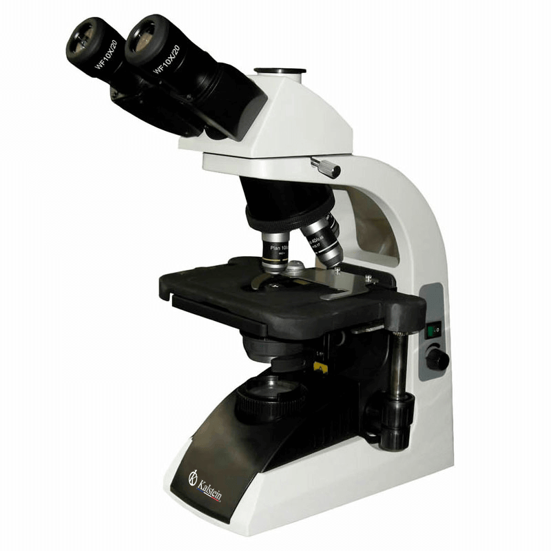 Glosario técnico y terminología clave del microscopio binocular YR0244