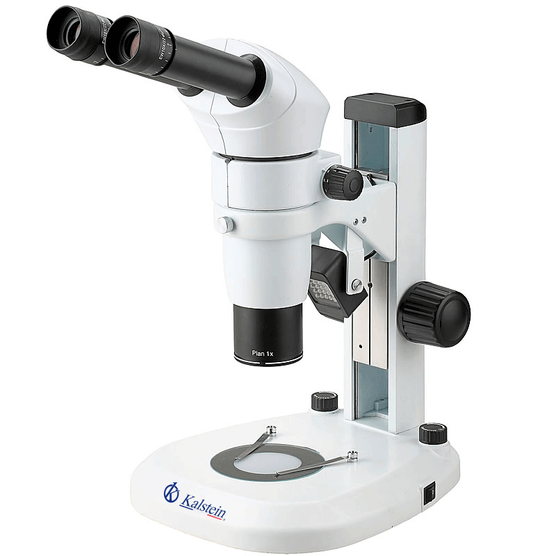 Consumibles y accesorios compatibles con el microscopio binocular YR0246