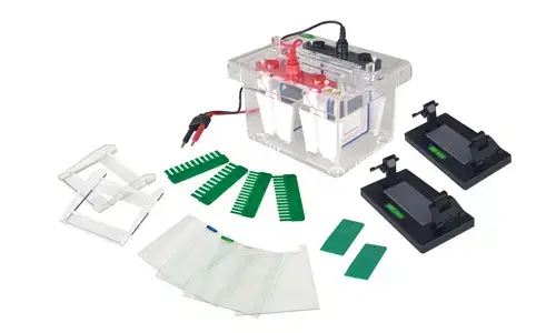 Personalización y Accesorios Opcionales para la Celda de Electroforesis Vertical de Miniproteína YR03426
