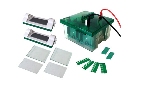 Requisitos de instalación del sitio para la Celda de electroforesis vertical de miniproteína YR03427