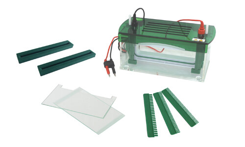 Personalización y accesorios del tanque de electroforesis vertical YR03428
