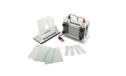 Personalización y accesorios avanzados para la mini electroforesis YR401