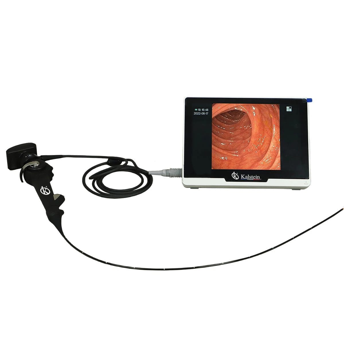 Glosario técnico y terminología clave del endoscopio de vídeo veterinario portátil YR06151