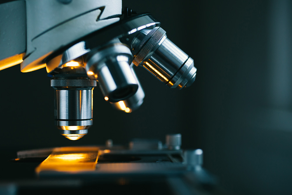 ¿Sabes que debes tener en cuenta al usar tu microscopio óptico?