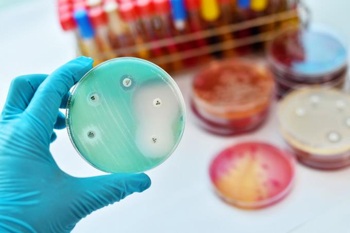 La amenaza de estos tiempos: La Resistencia Bacteriana (RB)