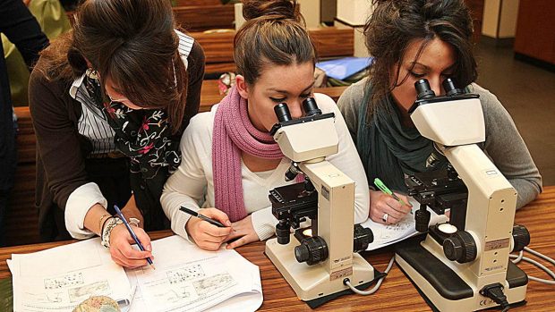 ¿Cómo realizar correctamente la instalación de tu microscopio óptico?