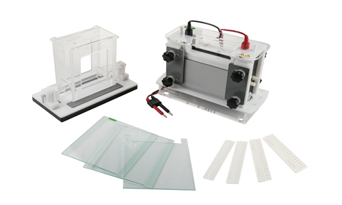 Electroforesis horizontal y vertical: Diferencias