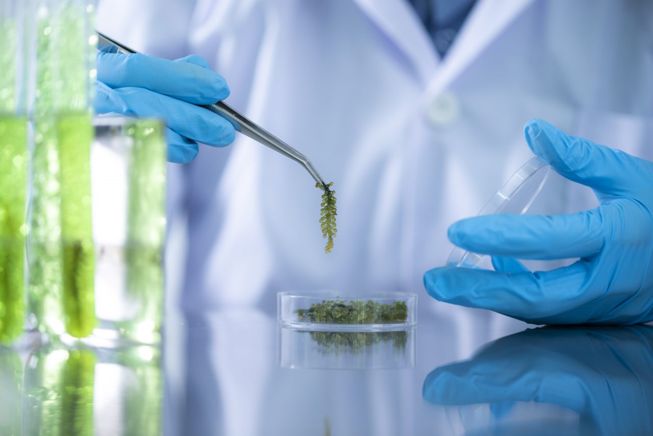 Importancia de un Fluorómetro en un laboratorio