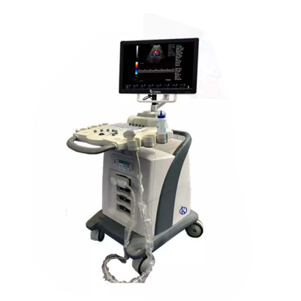 Identificación de problemas de salud con ultrasonido: Usar avances médicos para detección precoz