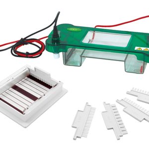 Beneficios de uso de la Electroforesis en Veterinaria