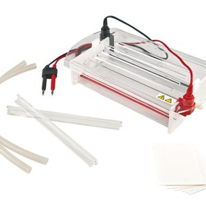 Importancia de la Electroforesis para Pruebas de Paternidad
