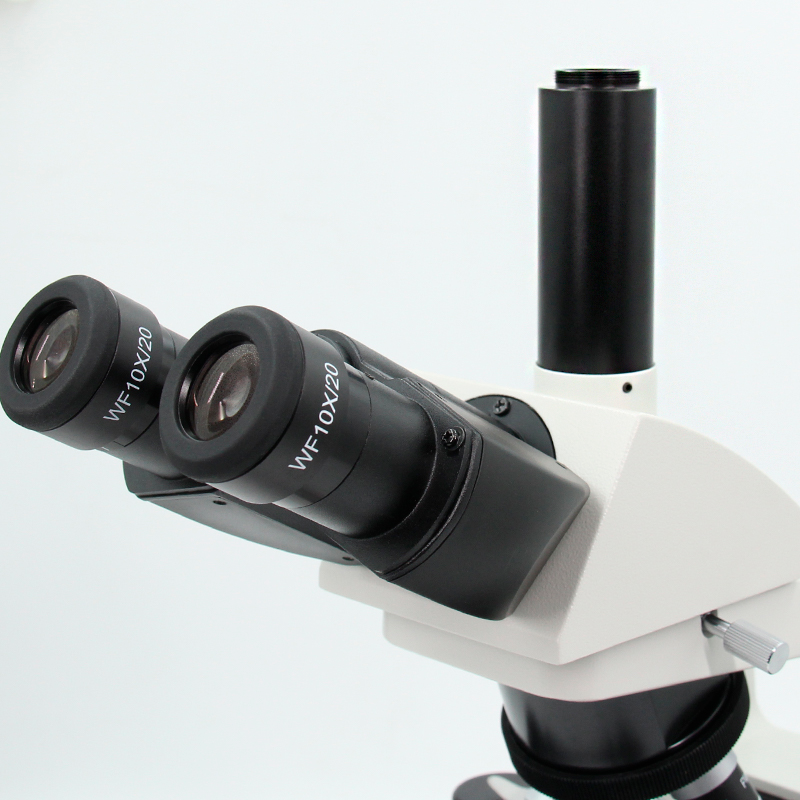 Microscopio Binocular de Laboratorio YR0243 // YR0244 – 1