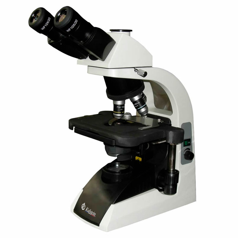 ¿Cuáles son los diferentes tipos de microscopios ópticos?