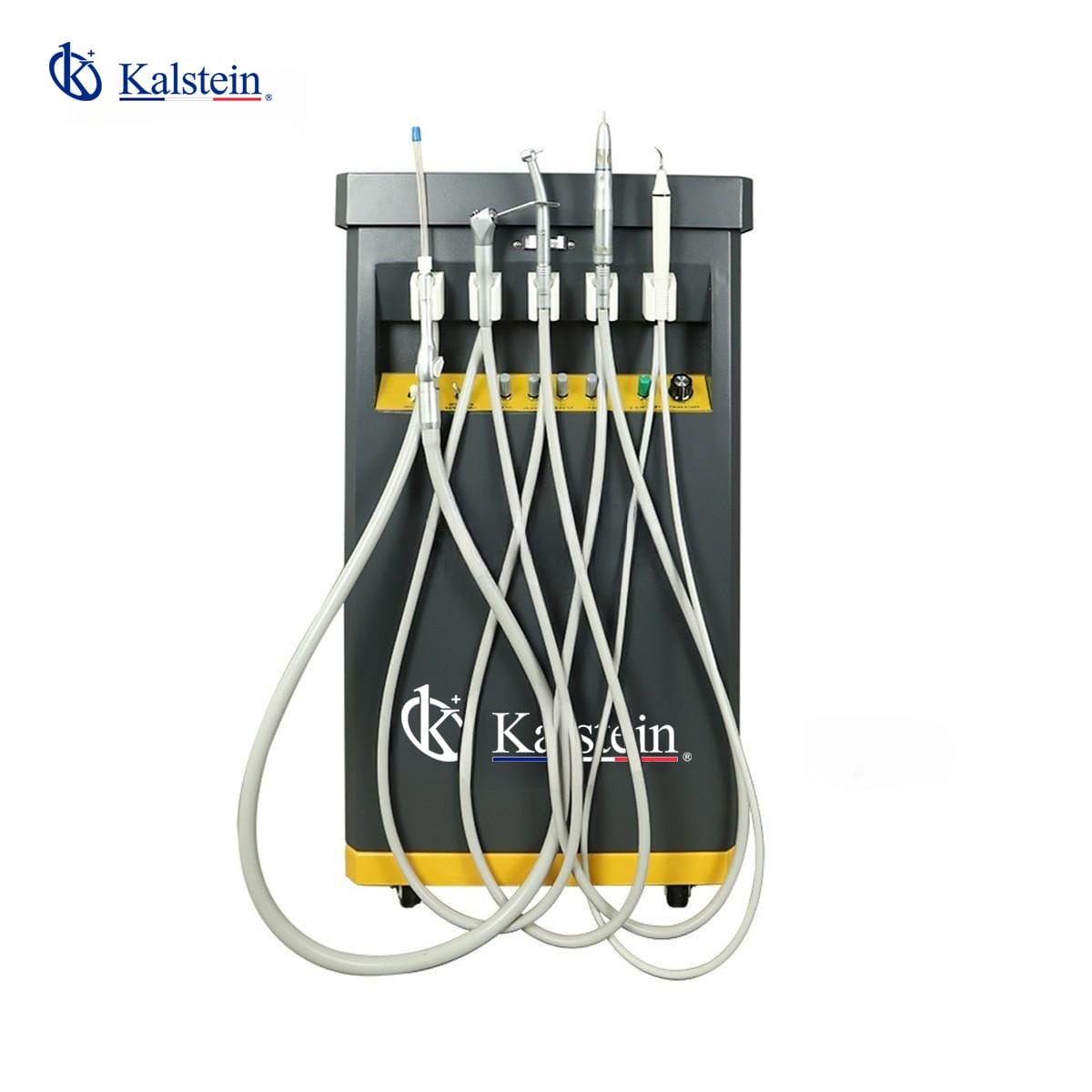 Transformando la Salud Dental de las Mascotas: Un Vistazo a la Unidad Dental Veterinaria de Kalstein