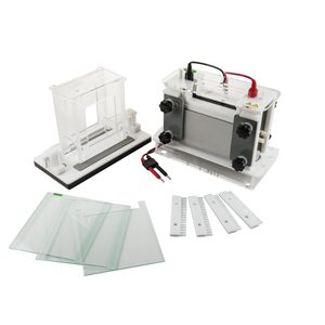 Inicio de una Nueva Era: Electroforesis Avanzada