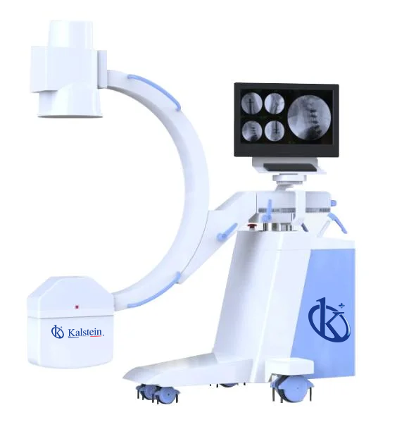 Descubre la Innovación en Rayos X Veterinarios para un Diagnóstico Preciso