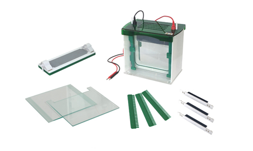 Tanque de Electroforesis Vertical Rápido SSR YR03431