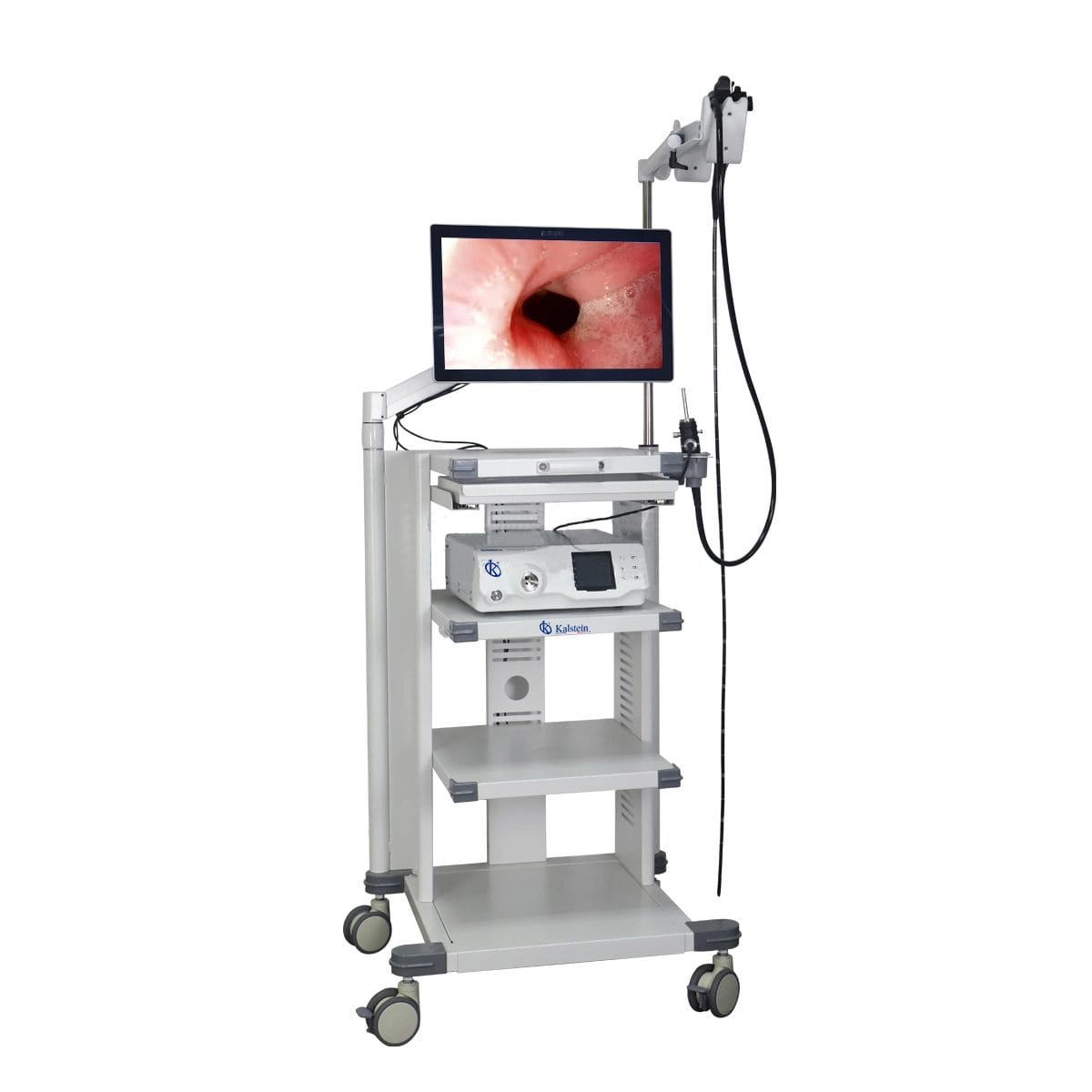 Endoscopio de Vídeo Veterinario