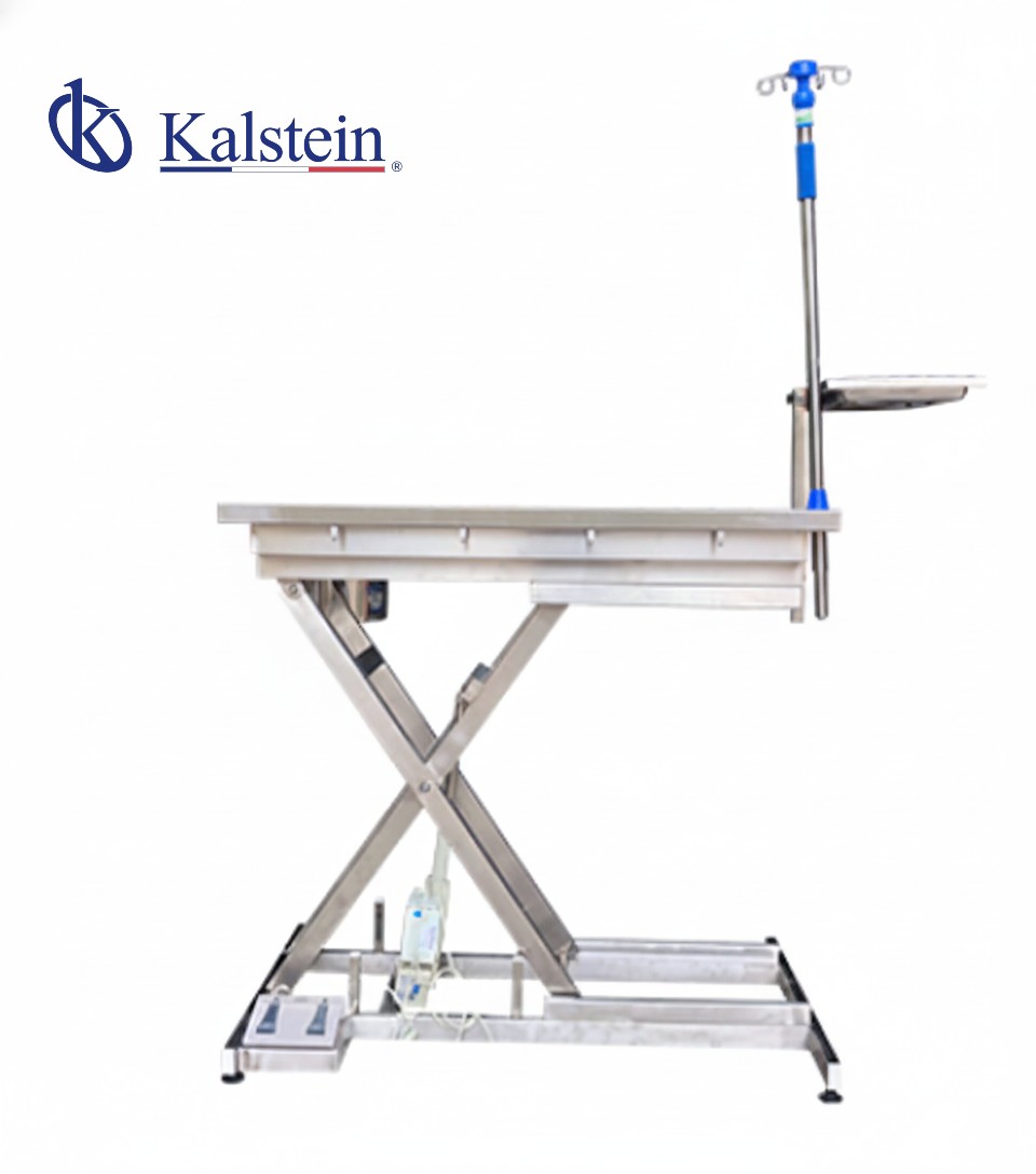 Factores clave a considerar